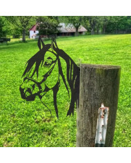 Novelty Horse Fence Sign