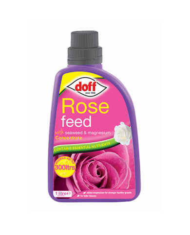 Doff Rose Feed
