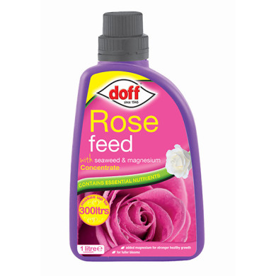 Doff Rose Feed