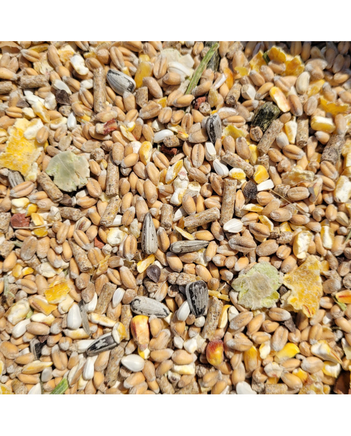 Exhibition Poultry 25kg