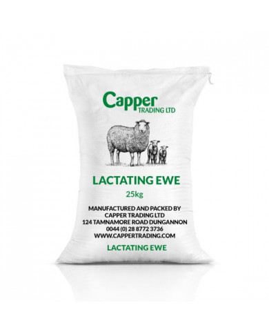 Lactating Ewe 19%