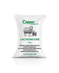 Lactating Ewe 19%
